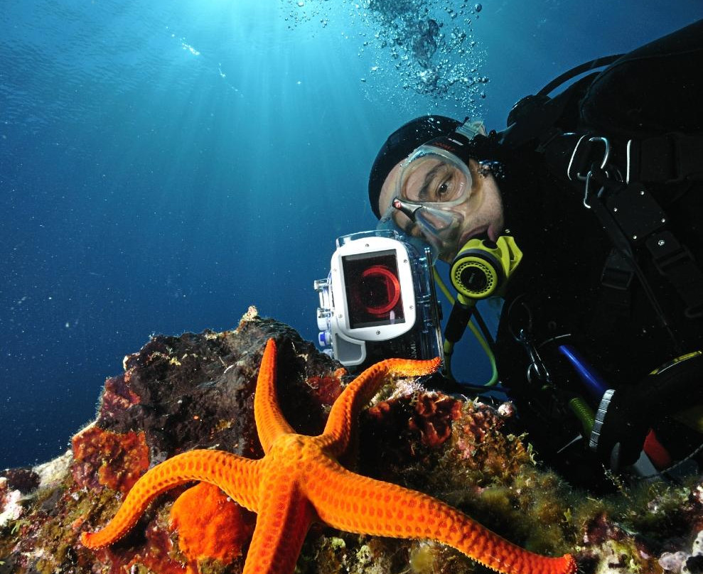 Serifos Scuba Divers-Livadi必去景点