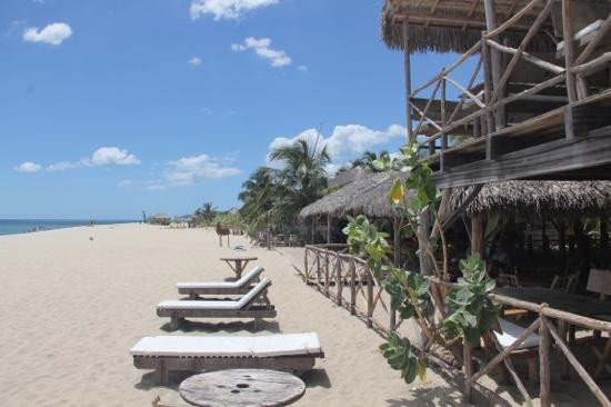 Cajueiro Da Praia Beach景点图片