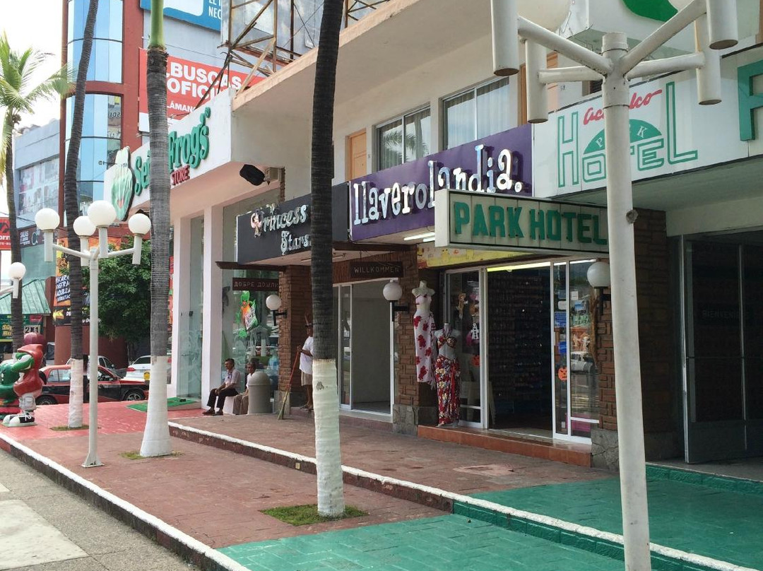 Mercado de Artesanias景点图片