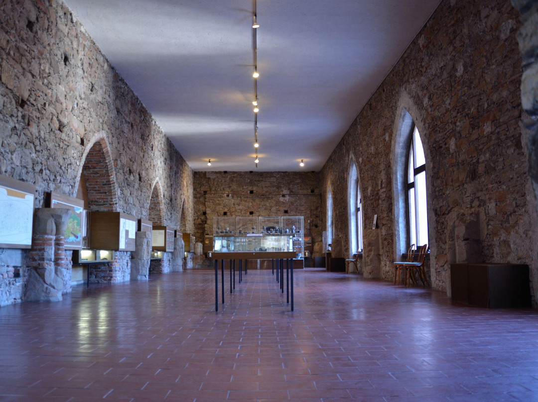 Museum Mondseeland Und Osterreichisches Pfahlbaumuseum-月亮湖必去景点