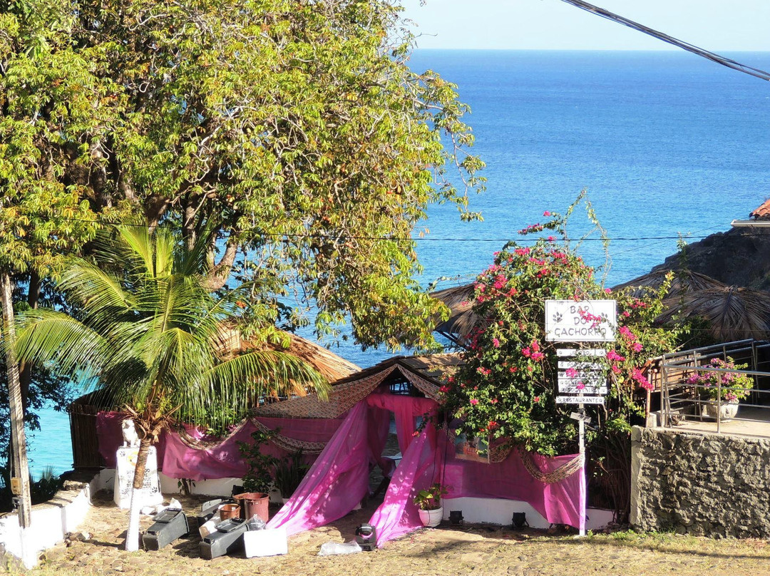 Bar do Cachorro-费尔南多-迪诺罗尼亚群岛必去景点