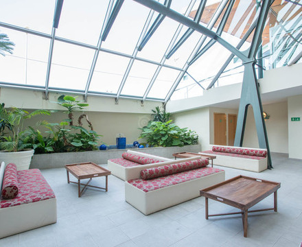 Alegria Caprici Verd