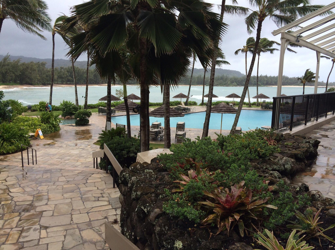 Turtle Bay Beach-卡胡库必去景点