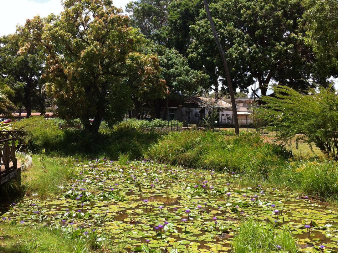 Jardin Botanique-卡宴必去景点