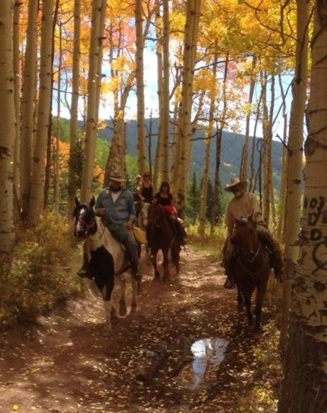 Fantasy Ranch Outfitters-克雷斯特德比特必去景点