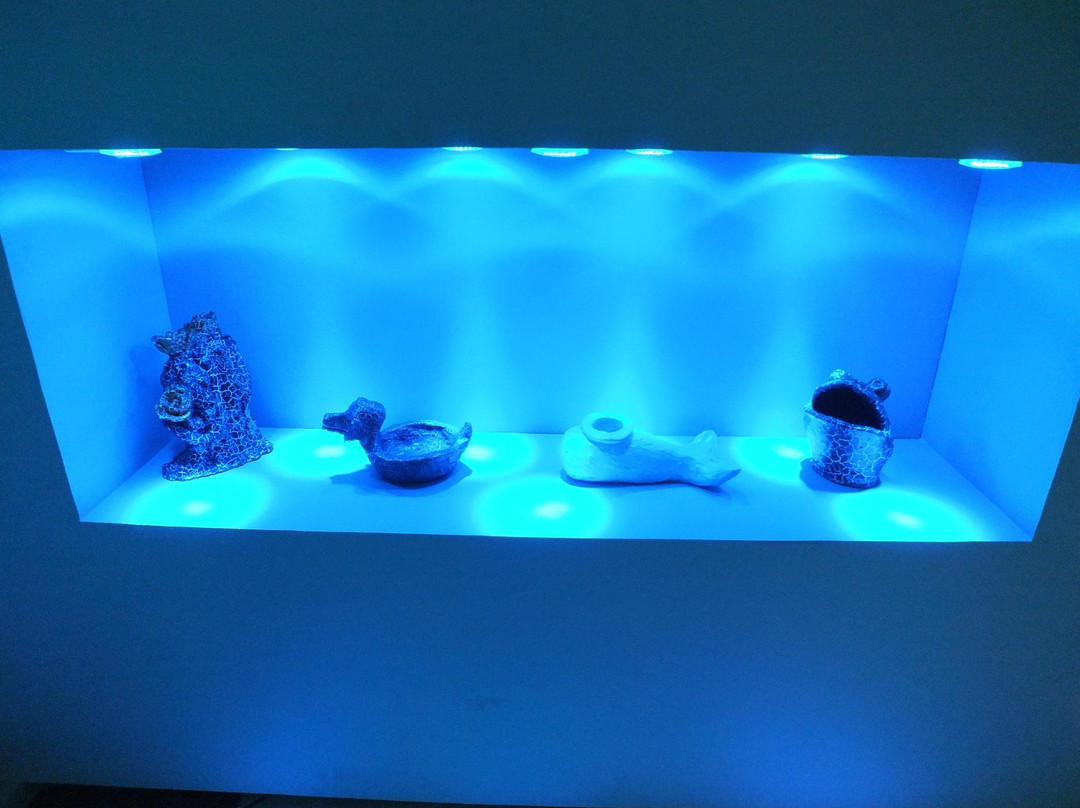 Museu Dinamico Interdisciplinar-Maringa必去景点