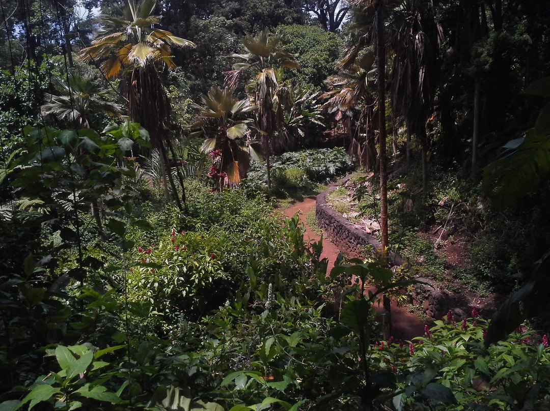 瓦西瓦植物园-瓦西瓦必去景点