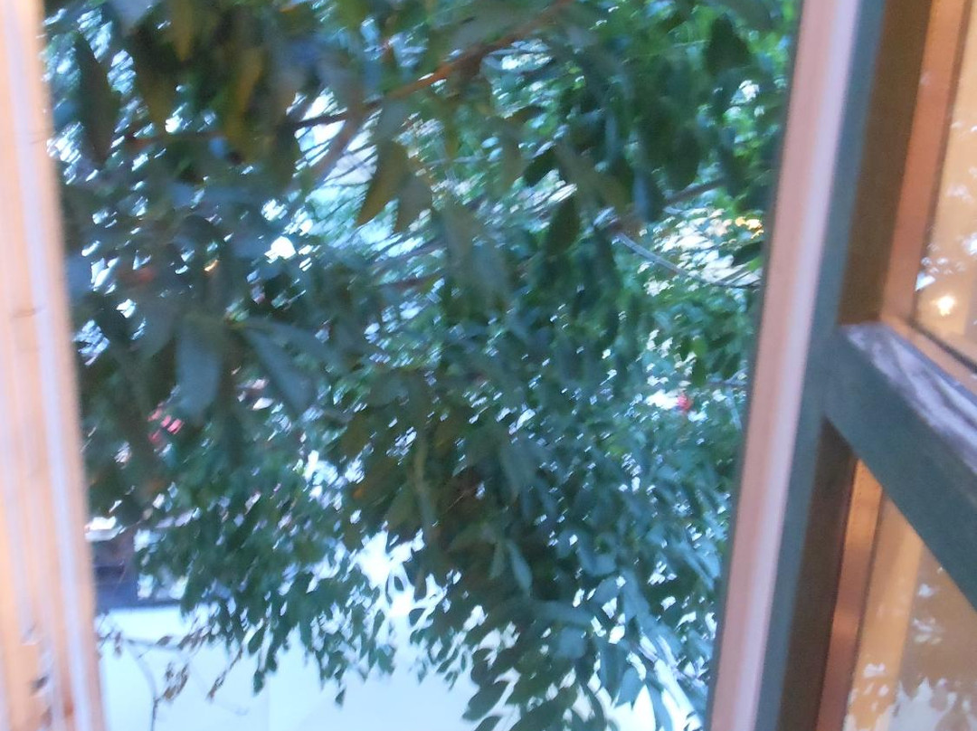 Aranyhajo Fogado主图