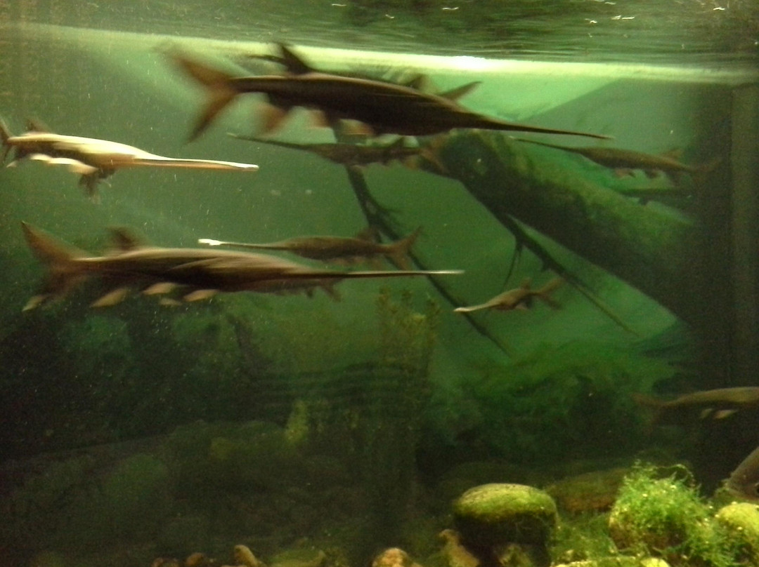 Schramm Education Center-Gretna必去景点