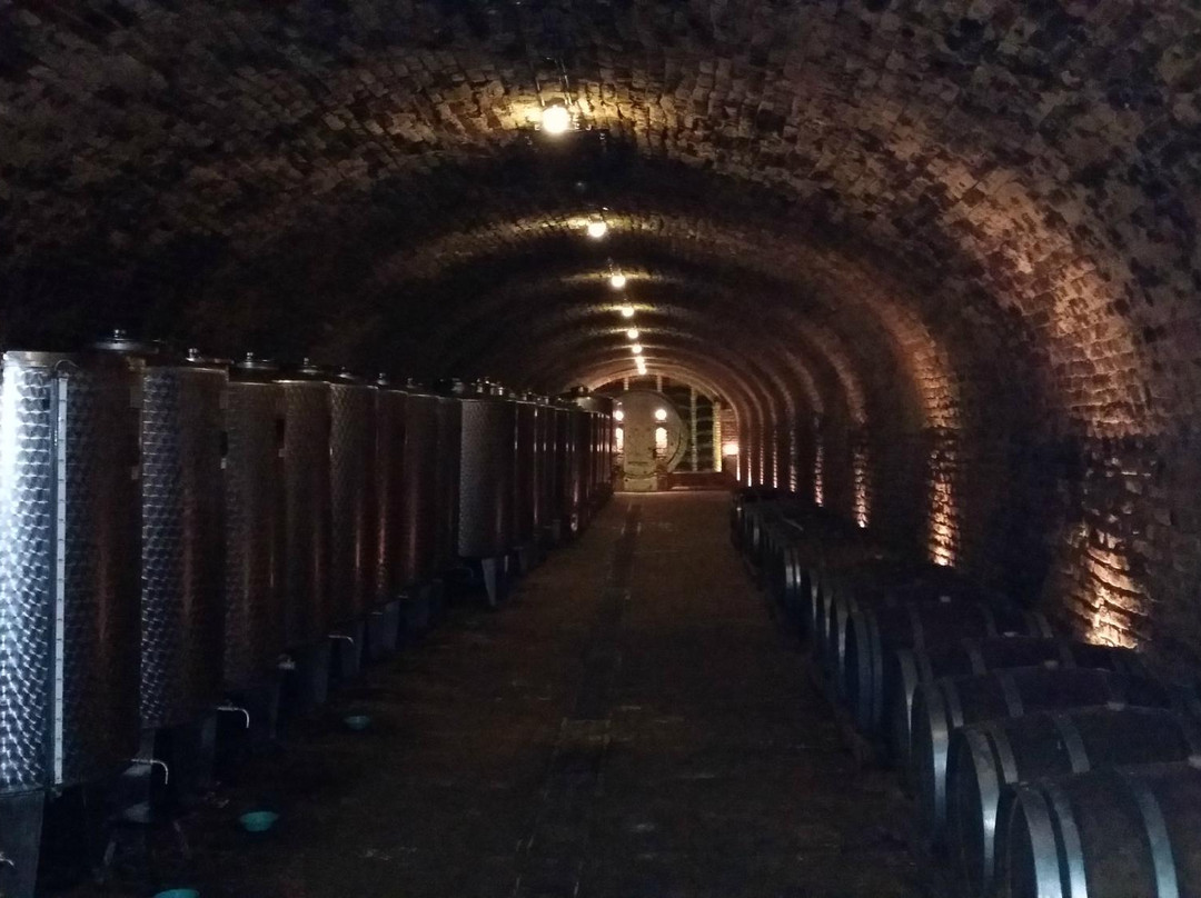 Podrum Bajilo (Wine Cellar)景点图片