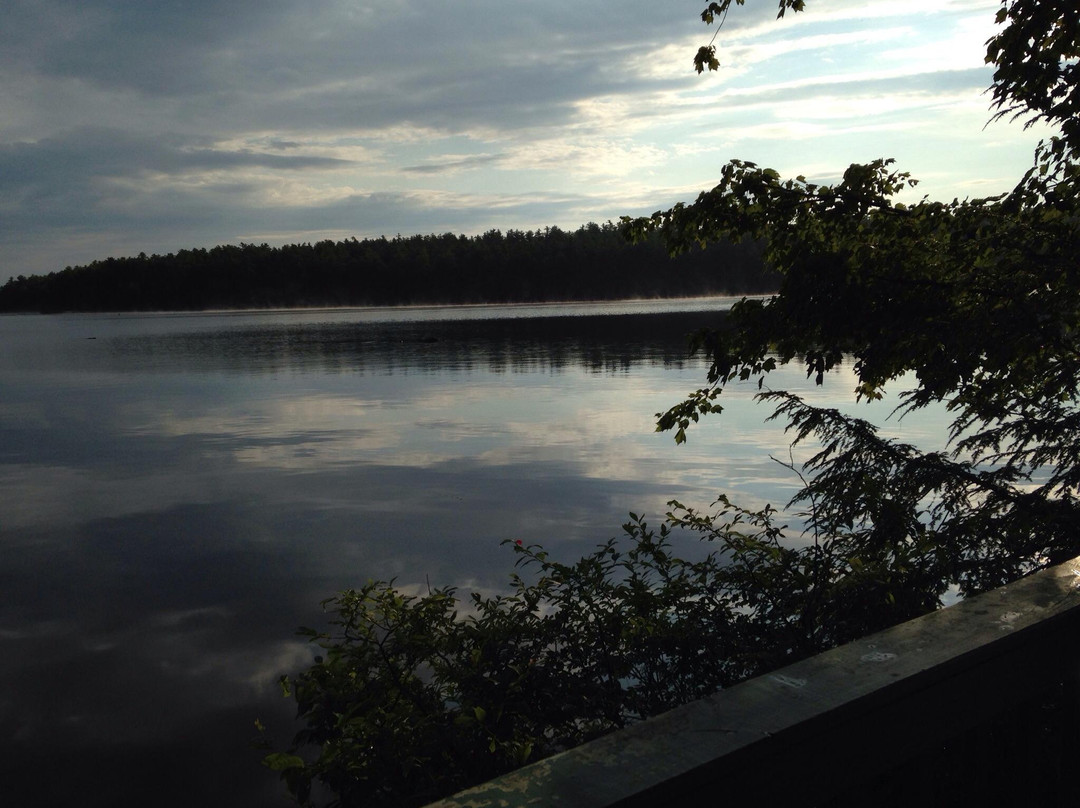 Castle Island Camps
