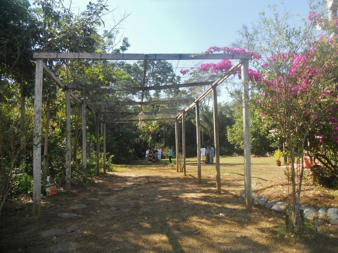 Rio Ji-Parana-Ji-Parana必去景点