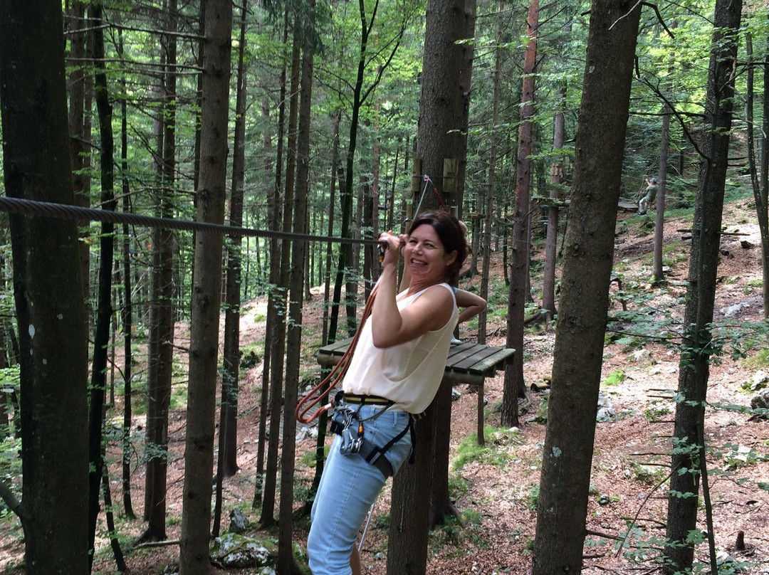 Waldseilpark Tscheppaschlucht-Ferlach必去景点