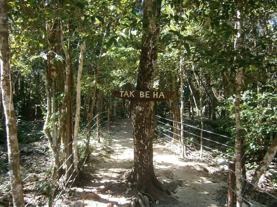 Cenote Taak Bi Ha-图伦必去景点