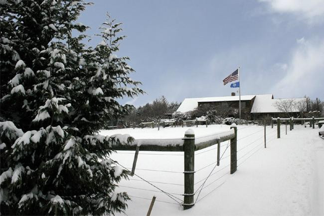 Butterfly Fields Bed and Breakfast主图