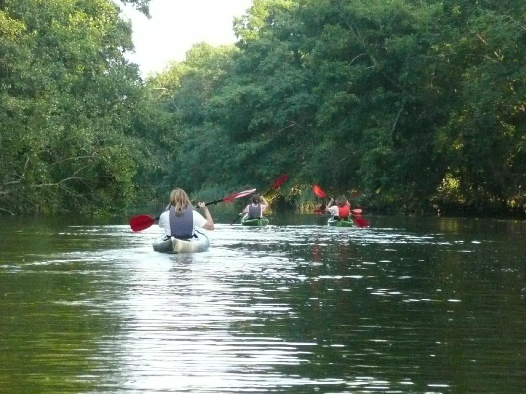 SE-Action Canoe Center-Siuntio必去景点