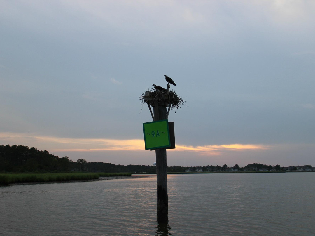 Badfish Charters-Ocean View必去景点