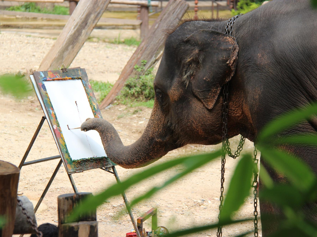 Chiangmai Survey - Private Day Tours-清迈必去景点