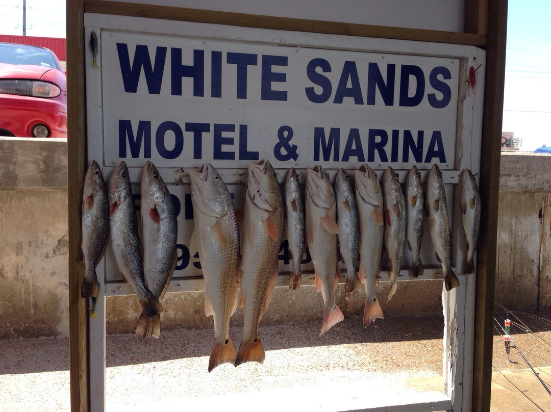 Bob's Bay Fishing - Private Charters-Port Isabel必去景点