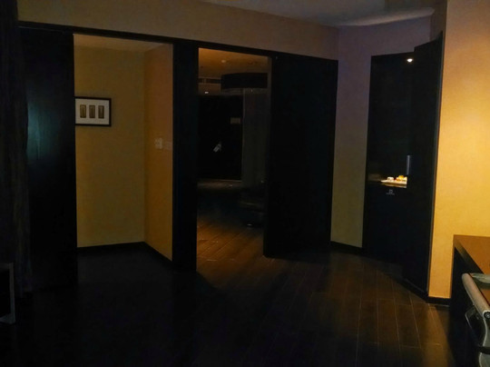 广东南美元生态大酒店海珠店主图