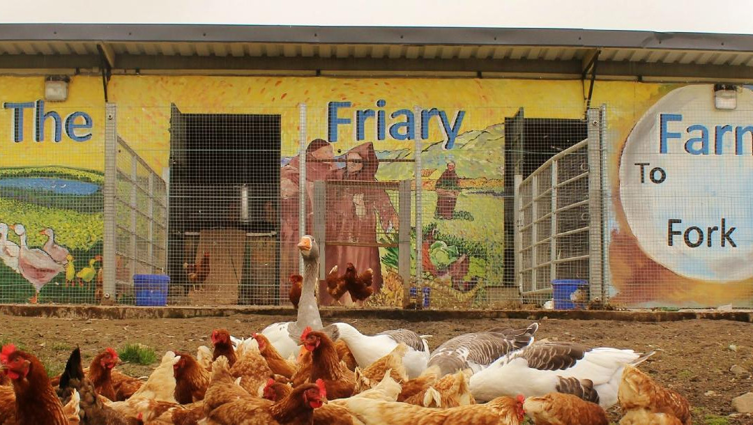 The Friary Farm-Tulsk必去景点