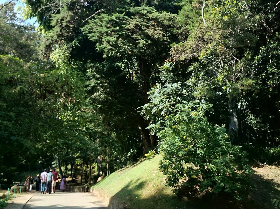 Hakgala皇家植物园-奴娃拉伊利雅必去景点