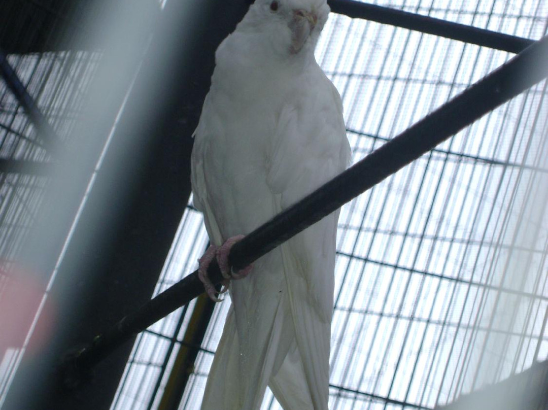 Franca Shopping Center-Franca必去景点