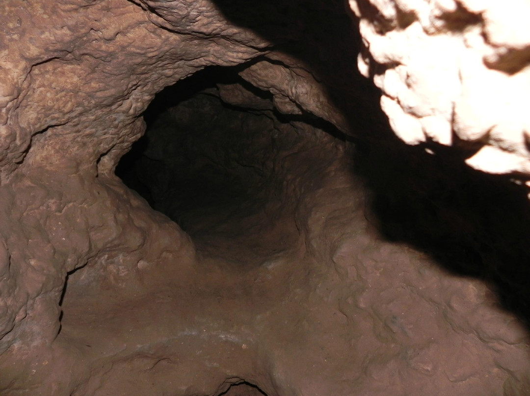 Ledge View Nature Center-Chilton必去景点