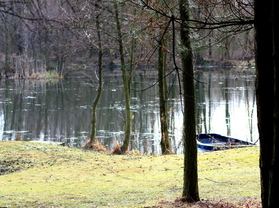 Wykeham Lakes Fishery景点图片