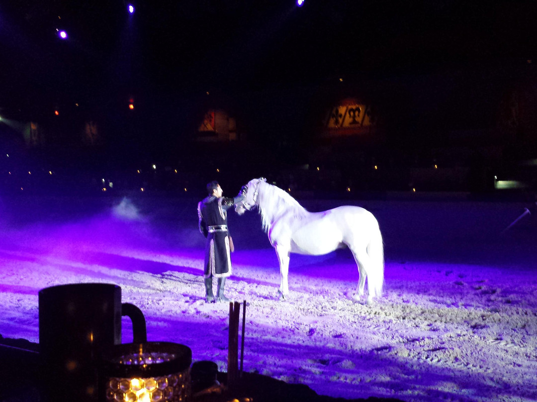 Medieval Times Dinner & Tournament-达拉斯必去景点