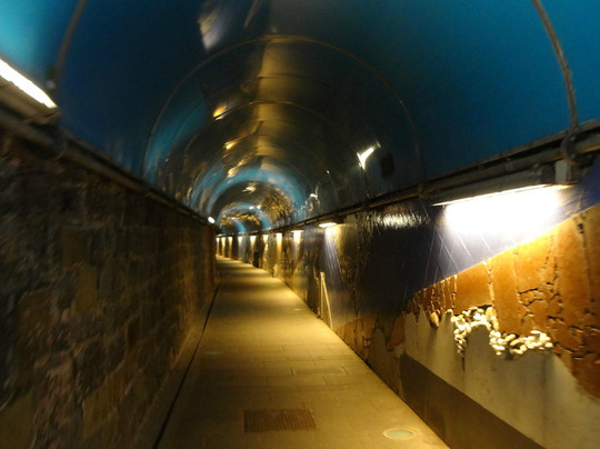 null-里奥马焦雷