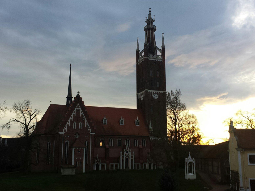 St. Petri Kirche景点图片
