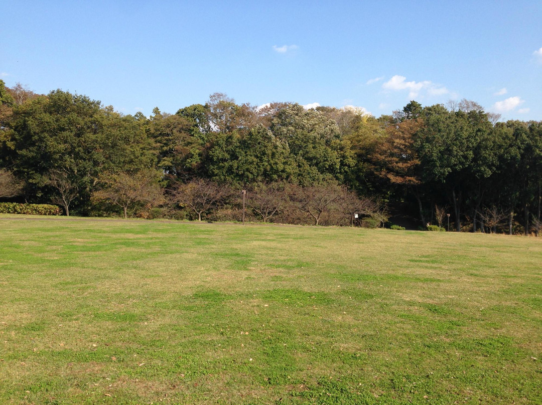 Usui Castle Site-佐仓市必去景点