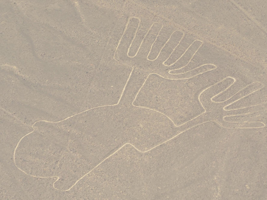 纳斯卡草原的线条图 -纳斯卡必去景点