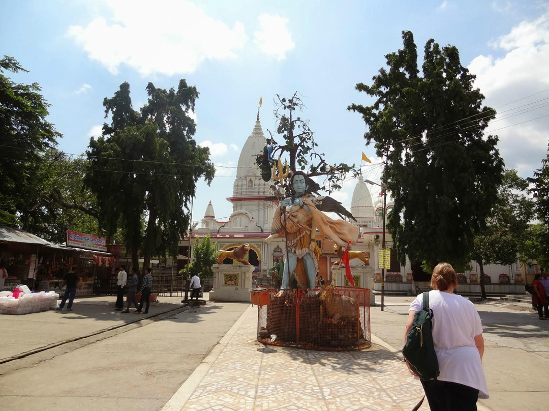 Daksh Mahadev Temple景点图片