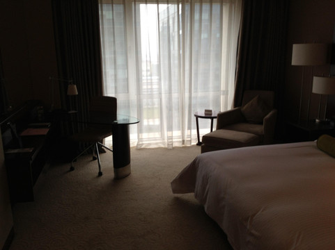 上海南桥绿地铂骊酒店主图