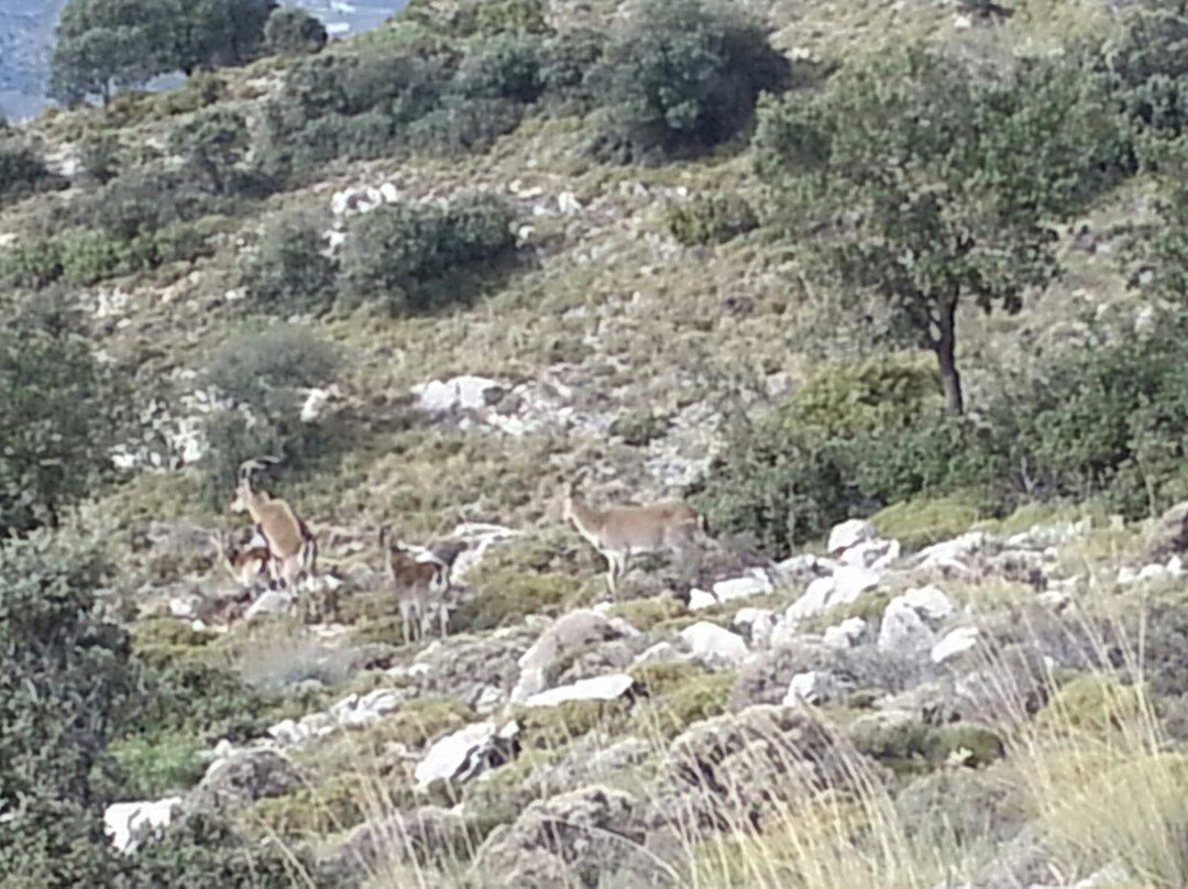Sierras de Tejeda, Almijara y Alahama景点图片