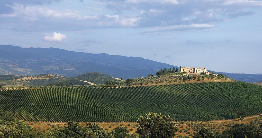 Maremma Wine and Company景点图片