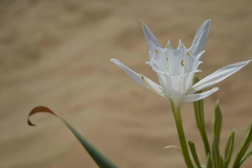 Sikelia-锡拉库扎必去景点