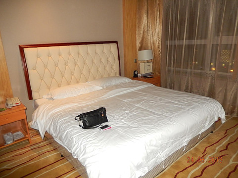 曼哈顿大酒店(哈尔滨中央大街索菲亚广场店)主图