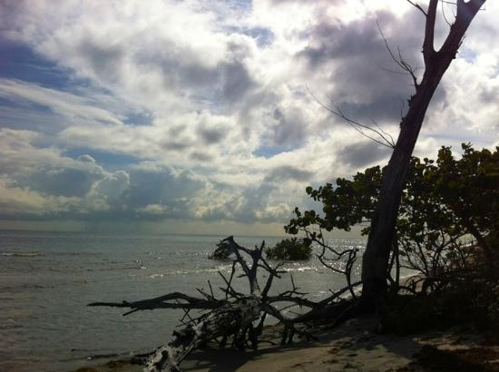 Bear Cut-比斯坎湾必去景点