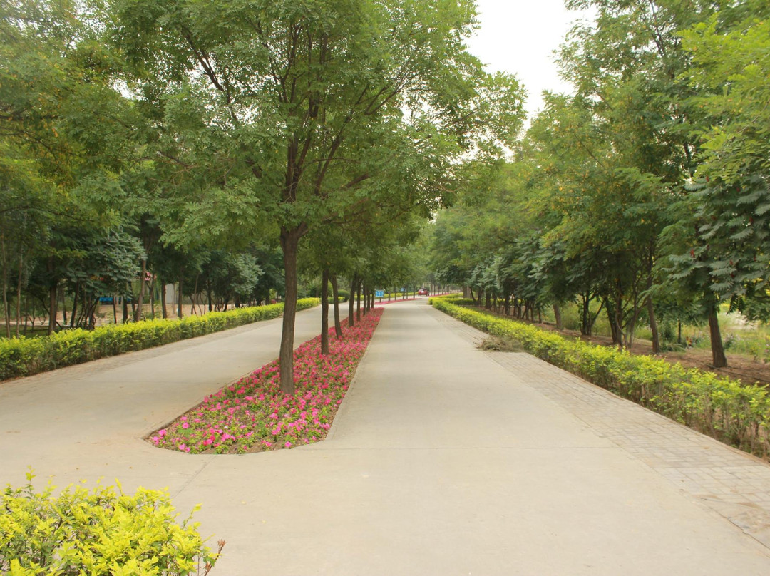 银川植物园-银川市必去景点