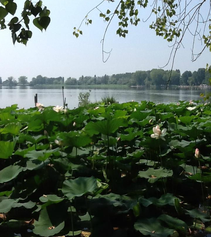 Riserva naturale Valli del Mincio景点图片
