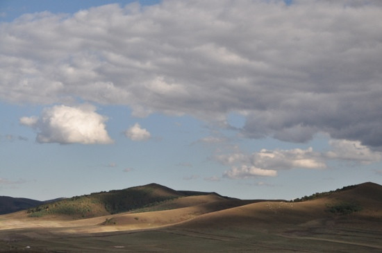 塞罕坝国家森林公园-围场县必去景点