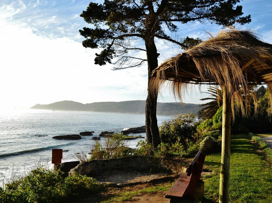 Restaurante Villa Cocholgue