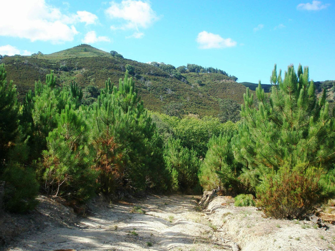 Tapada Nacional de Mafra景点图片