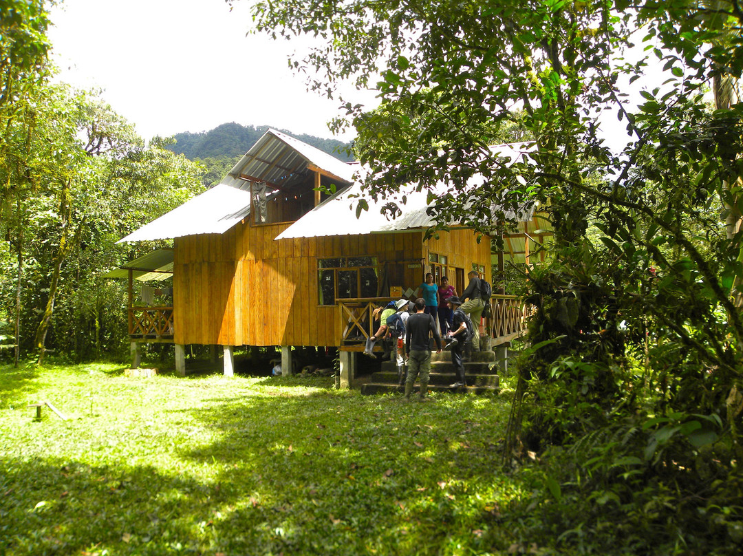 Las Tangaras Reserve (Reserva las Tangaras)-明多必去景点