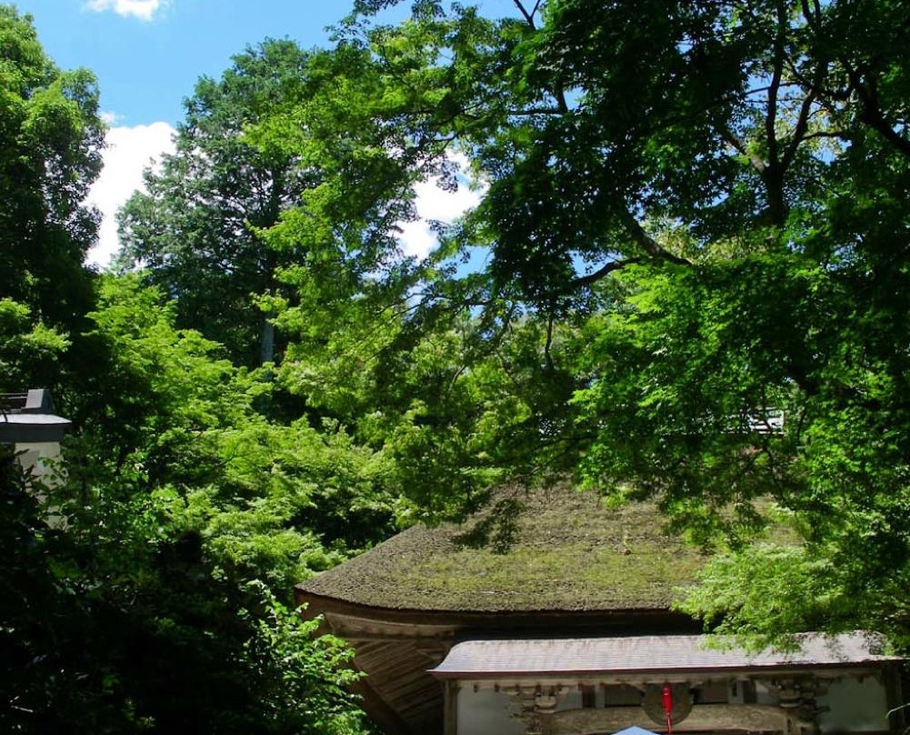 Daikozenji Temple景点图片