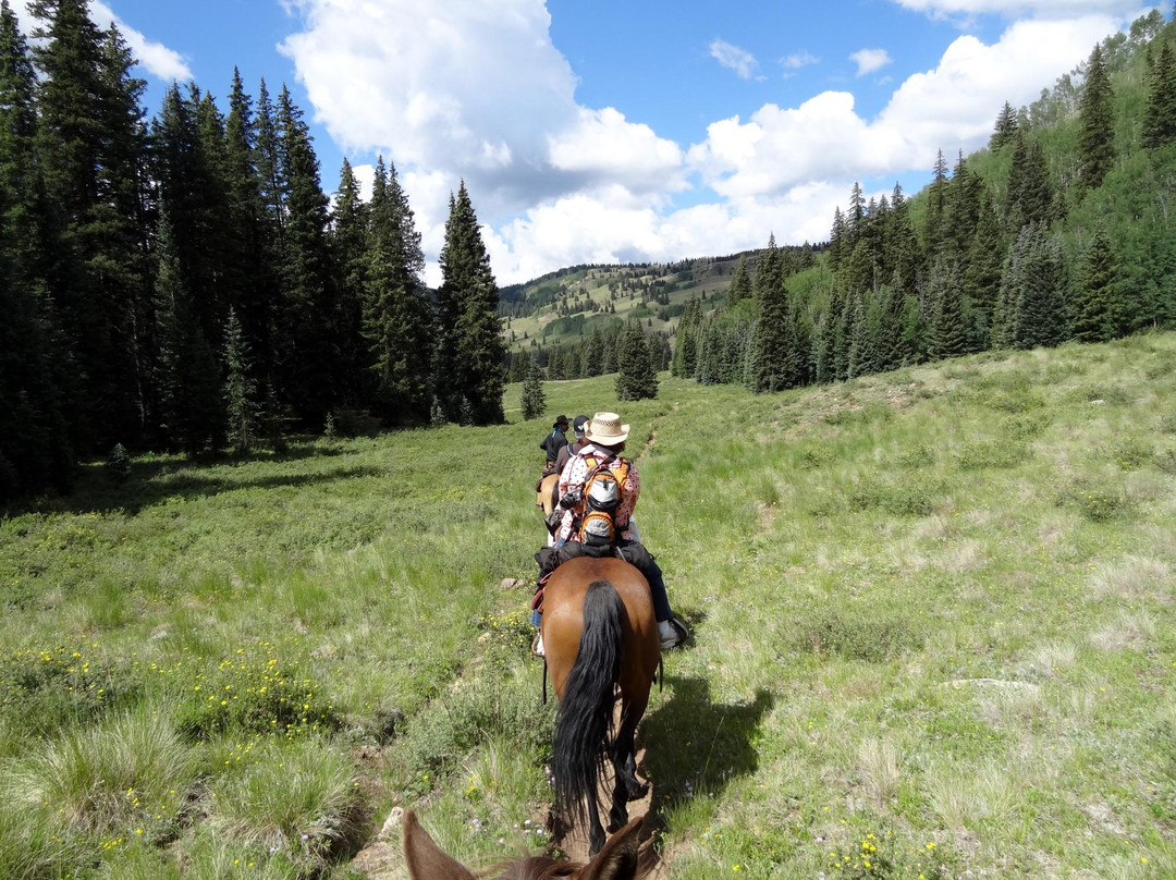 San Juan Sky Outfitters, LLC-杜兰戈必去景点