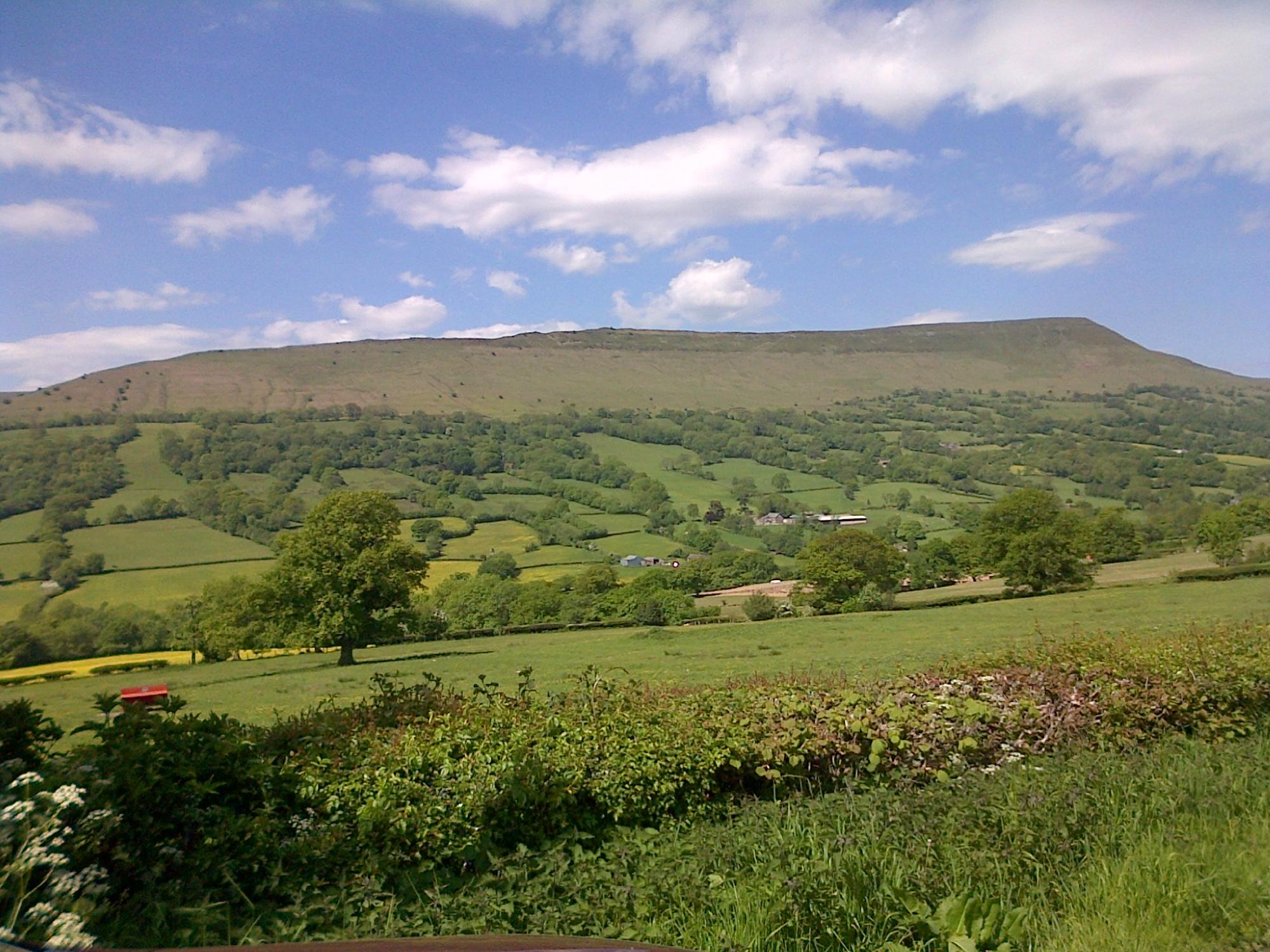 White Haywood Farm B&B-官方